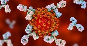 استراتژی جدید دانشمندان برای غیرفعال کردن ویروس‌ها