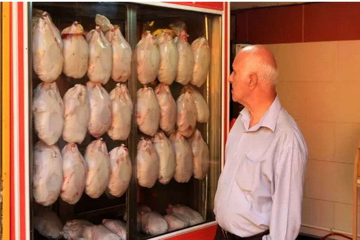 جدیدترین قیمت مرغ در بازار مشخص شد (۳‍۱ مرداد) 