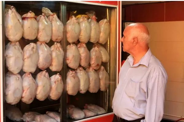 اعلام قیمت جدید مرغ در بازار / ران مرغ کیلویی چند شد؟ 
