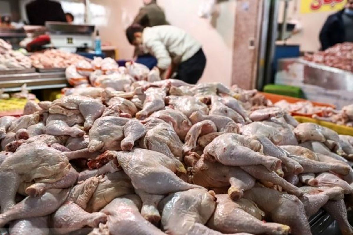 دولت پزشکیان تکلیف افزایش قیمت مرغ را یکسره کرد