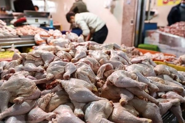 بازار مرغ آشفته شد+ آخرین قیمت 