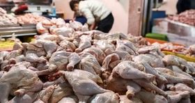 بازار مرغ آشفته شد+ آخرین قیمت 