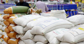 عرضه برنج ایرانی با قیمتی دولتی در این سامانه