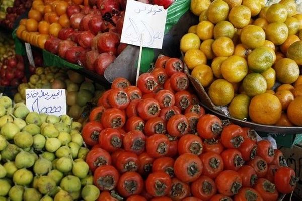 دلیل برگشت بار صادراتی میوه به عراق مشخص شد /  آیا قیمت میوه تغییر می کند ؟