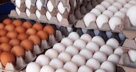 علت دو نرخی بودن تخم‌مرغ چیست؟