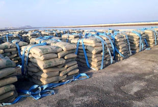 صادرات سیمان کاملاً شرطی شد (شهریور ۱۴۰۴)