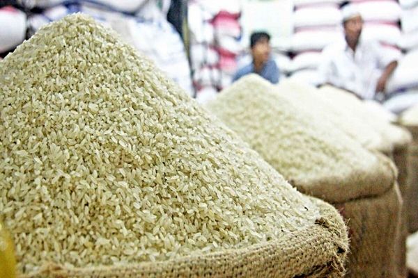 برنج ایرانی با قیمت جدید به بازار آمد (۱ اردیبهشت)