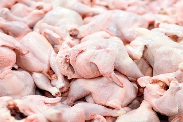 قیمت انواع گوشت مرغ بسته بندی شده در بازار+ جدول