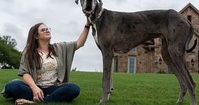 بلندقد ترین سگ جهان در گینس
