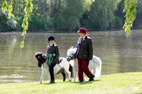 دنیای امروز به روایت تصویر