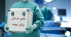سایت خرید و فروش اعضای بدن در ایران راه اندازی شد؟