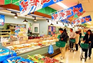 طوفان مردم این کشور را به وحشت انداخت/ قفسه‌ها خالی شد 