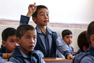 ۵۳ هزار دانش‌ آموز افغانستانی فقط در تهران / آمار واقعی کشور چقدر است؟