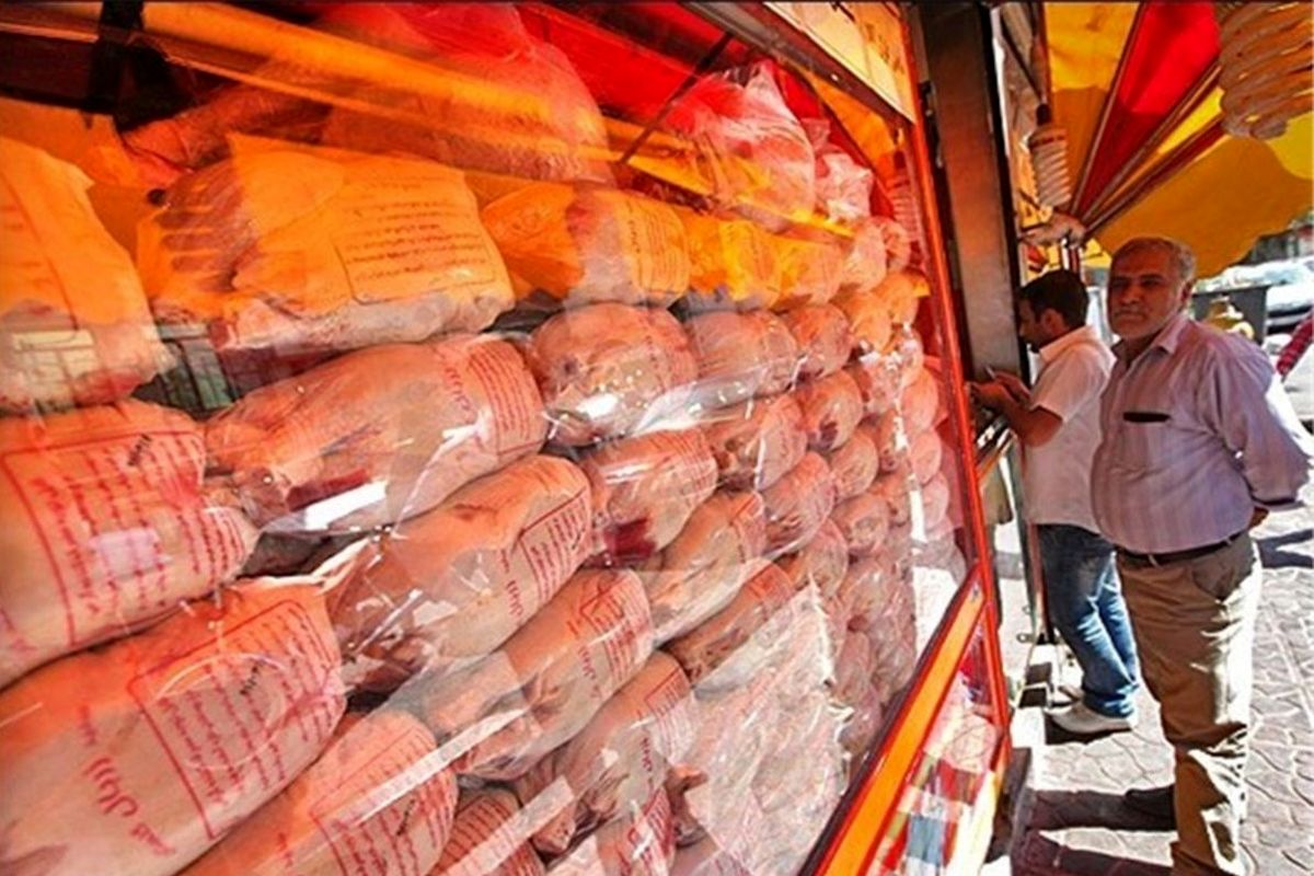 فعلا خبری از افزایش قیمت مرغ نیست 