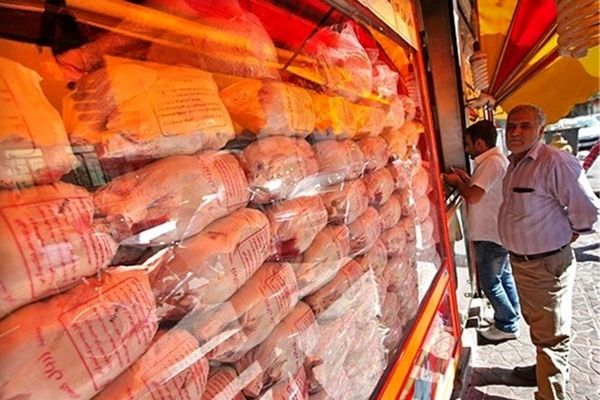 تغییر قیمت مرغ بسته بندی در بازار / گوشت چرخ کرده مرغ چند؟