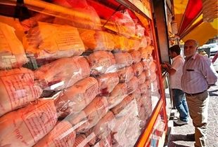 آخرین قیمت مرغ در بازار / مغز ران کیلویی چند شد؟ 