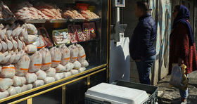 قیمت مرغ در بازار امروز / سینه و ران کیلویی چند به فروش می رود؟ 