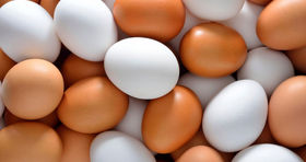 کاهش عجیب قیمت تخم مرغ در بازار 