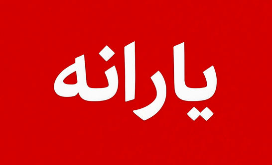 ثبت نام در این سامانه برای دریافت یارانه الزامی شد 