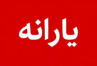 با انتخاب این گزینه از کالابرگ ۴۰۰ هزار تومان سود کنید 