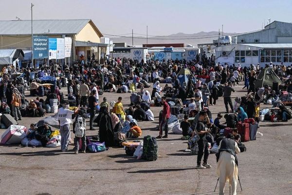 انتقام کثیف اتباع افغان از ملت ایران؛ تیر خلاص شلیک شد