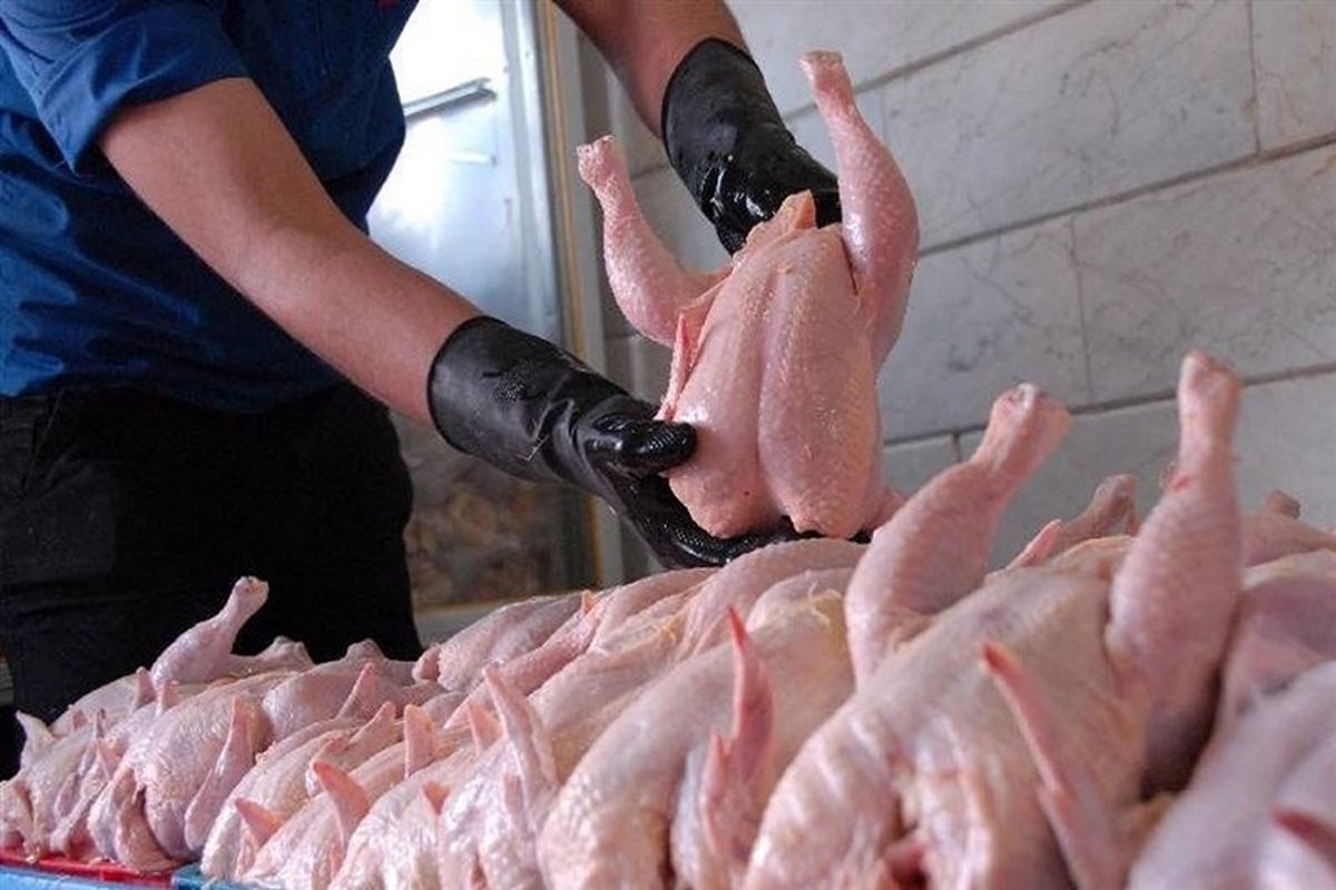 نرخ انواع گوشت مرغ در بازار + جدول قیمت