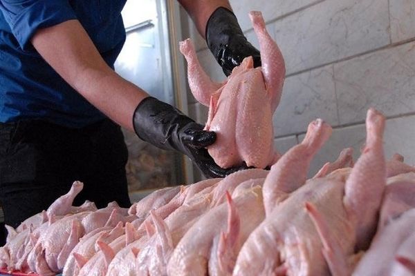 نرخ انواع گوشت مرغ در بازار + جدول قیمت