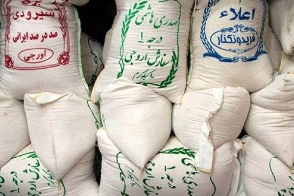 قیمت انواع برنج در بازار اعلام شد / خرید هر کیلو برنج هاشمی چقدر آب میخورد؟ + جدول