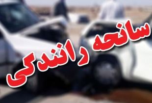 سانحه رانندگی، نماینده مجلس را عزادار کرد + جزئیات