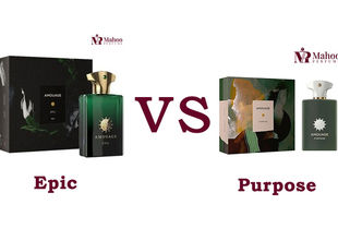 مقایسه عطر آمواج پریوس با آمواج اپیک مردانه | خرید کدام بهتر است؟

