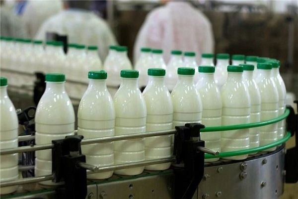 شیر کیلویی ۵۵ هزار تومان شد / ارزان ترین شیر بازار کیلویی چند؟ 
