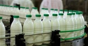 قیمت جدید شیر در بازار / قیمت این نوع شیر به کیلویی ۸۰ هزار تومان رسید 