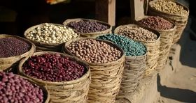 نحوه عرضه چای و حبوبات تنظیم بازاری اعلام شد