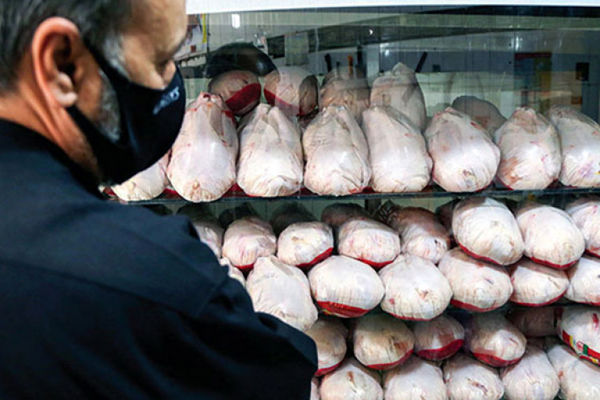 قیمت جدید مرغ در بازار / جوجه کباب کیلویی چند؟