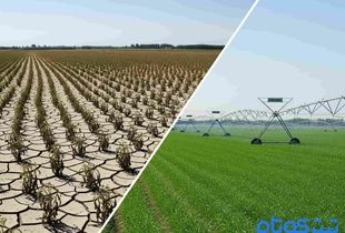 پادکست | زنگ خطر برای کشاورزی ایران / دو راهی اقتصاد و اقلیم