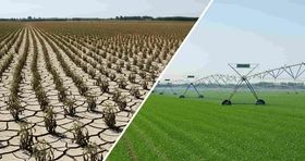 پادکست | زنگ خطر برای کشاورزی ایران / دو راهی اقتصاد و اقلیم