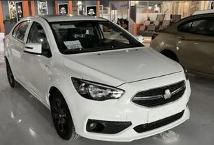 سقوط آزاد قیمت شاهین در بازار+ جدول 