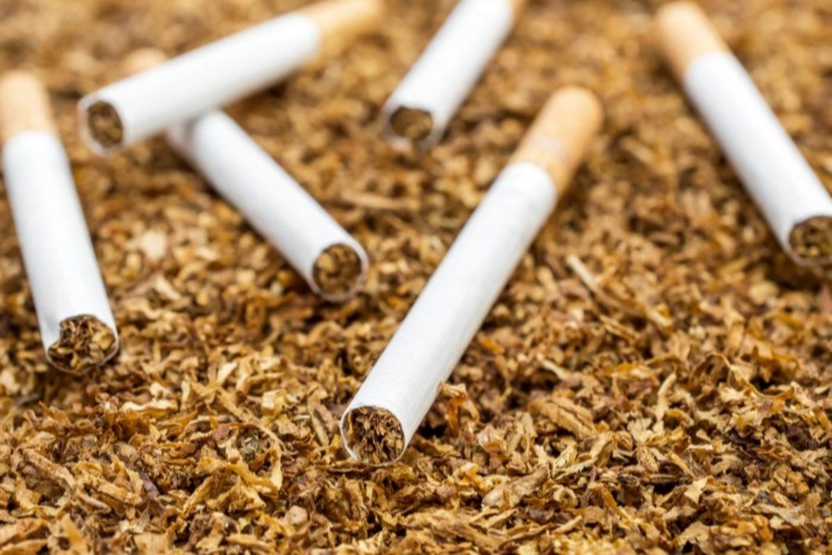 خبر بد برای سیگاری ها / برای هر پاکت سیگار باید مالیات بدهید