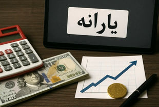 جلوگیری از حذف یارانه نقدی تا شهریور ماه؛ راه حل پیدا شد