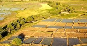 امنیت غذایی مردم زیر تیغ قانون جهش مسکن / نابود کردن اراضی کشاورزی به بهانه ساخت مسکن