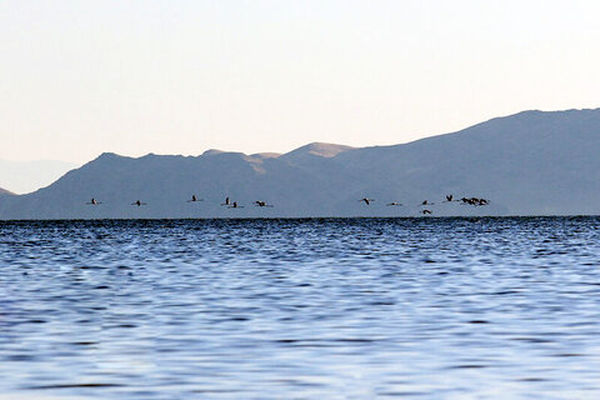 افزایش بیش از ۶۰ درصدی حجم و سطح دریاچه ارومیه