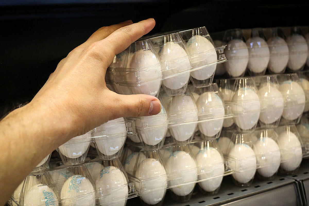 تخم مرغ بسته ای چند؟ 