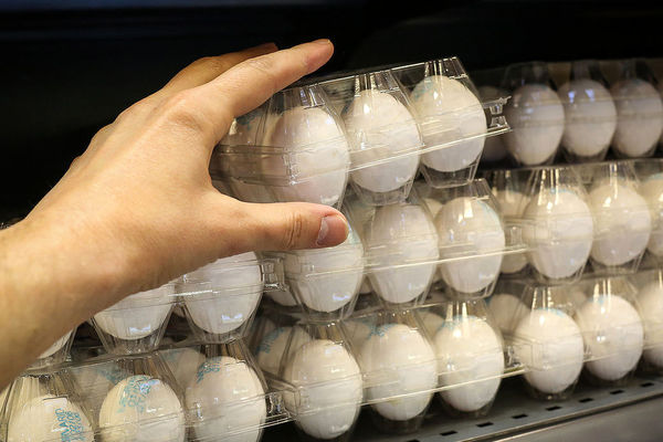 تخم مرغ بسته ای چند؟ 
