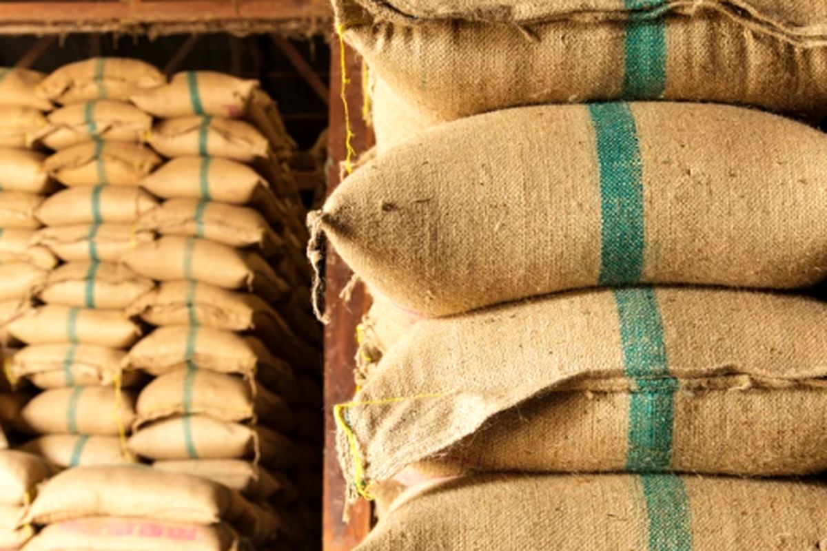 برنج خوب از کجا بخریم؟ راهنمایی خرید برنج از زاد مارکت
