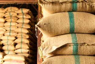 برنج خوب از کجا بخریم؟ راهنمایی خرید برنج از زاد مارکت
