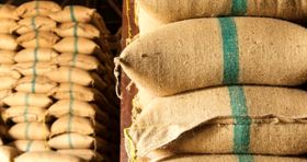 برنج خوب از کجا بخریم؟ راهنمایی خرید برنج از زاد مارکت
