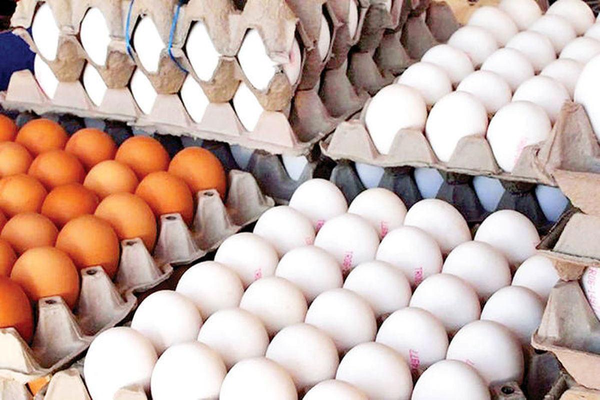 ماجرای فروش تخم مرغ زیر نرخ مصوب چه بود؟