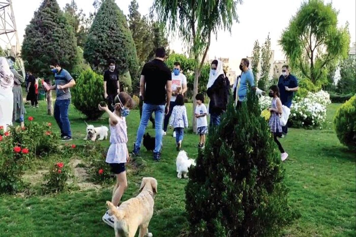 ممنوع شدن ورود سگ‌ها به بوستان‌های تهران