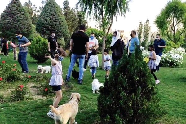 ممنوع شدن ورود سگ‌ها به بوستان‌های تهران