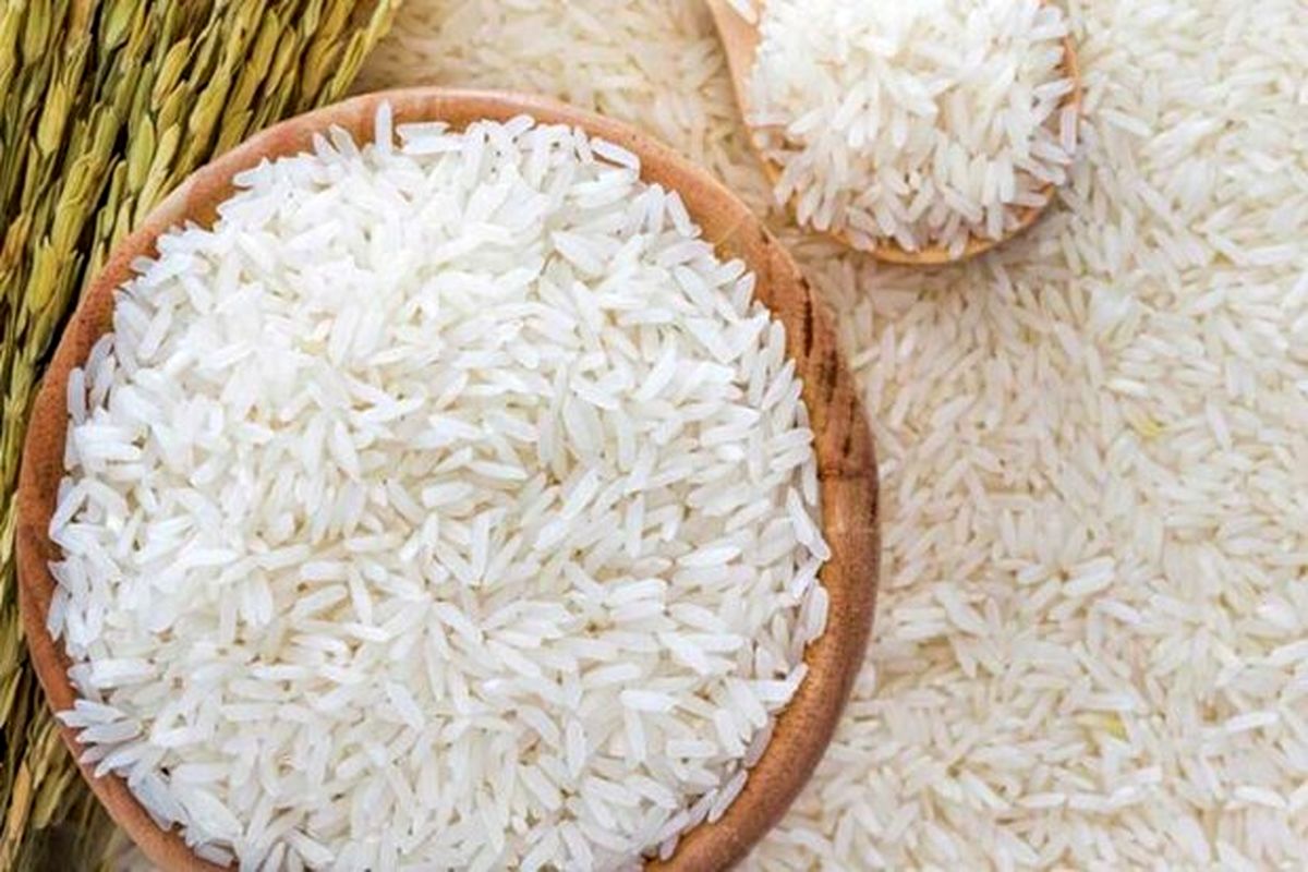 افزایش ۲۰ درصدی تولید برنج در کشور